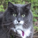 feelslike1959 avatar