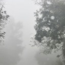 feelslikefallingg avatar