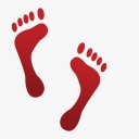 feetdidfeet avatar