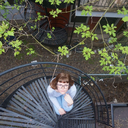 feignedlikelihood avatar