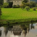 felicemelancholie avatar