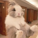 felicidade-que-atrai avatar