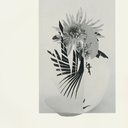 felicitygleeson avatar