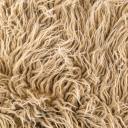 felincianovargas avatar