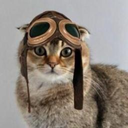 feline-supremist avatar