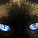 felinefaytale2 avatar