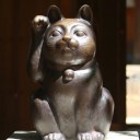 felinehearted avatar