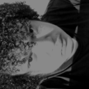 felipephellps avatar