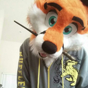 fellfoxsdomain avatar