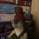 felt-squirrels avatar