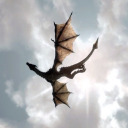 femalefanatic avatar