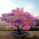 femaleformlvr avatar