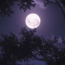 femboybutaliltotheleft avatar