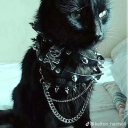 femboygangstalking avatar