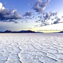 feminismfreedomfighters avatar