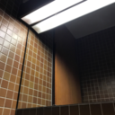 feminist--wanderer avatar