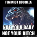 feministgodzilla-blog avatar