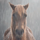 femmeinfullbloom avatar