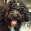 fendetestas45 avatar