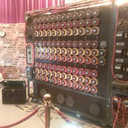 fenestratingfungi avatar