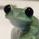 fennaboysenberry avatar