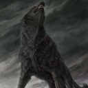 fenrir-129 avatar