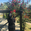 feracelimucahide avatar