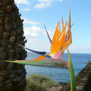 ferakyol-blog avatar