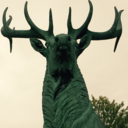 feral-at-heart avatar