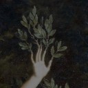 feral-fairytales avatar