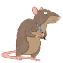 feral-rat avatar