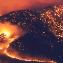 feral-threads avatar