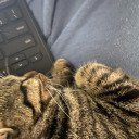 feraleddiekinnie avatar