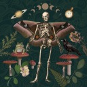 feralforfungi avatar