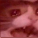 feralheadphones avatar