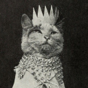 feralindoorcat avatar