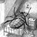 feralmelancholia avatar