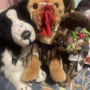 feralpawzzzzzz avatar