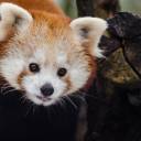 feralsgoesbatshit avatar