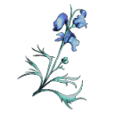 fereldensheroesa avatar