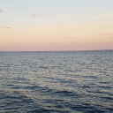 ferenofnopewood avatar