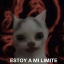 ferioniswhoiam avatar
