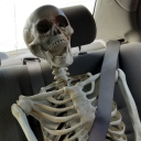 fermiparadoxx avatar