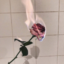 fernandezshit avatar