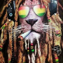 fernandobeltranblr-blog avatar