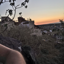 fernandoviews avatar