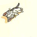 ferncer-ferst avatar