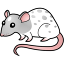 ferns-and-feathers-blog avatar