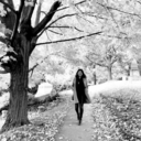 fernwehexplorer avatar