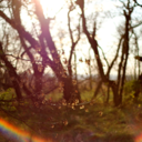 fernwehmag-blog avatar